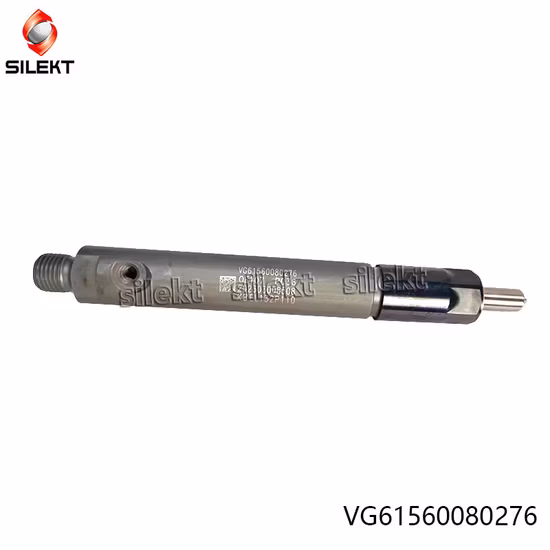 Injecteur de carburant Vg1560080276 61560080276 Weichai Euro II pièces de moteur de camion injecteur de carburant diesel WD615 Str Egr buse à rampe commune Piunger